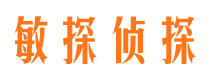 金溪市侦探公司